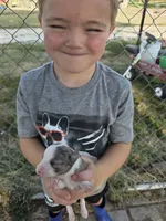 processed/8a723386-b491-4d37-a078-1ee5c164acc7/listing/325d60d9-a3c6-433e-a28b-f3f36dfa6e27/106a8f35-ff73-4978-a2ed-50d61a450e53