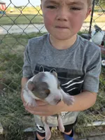 processed/8a723386-b491-4d37-a078-1ee5c164acc7/listing/87a14891-0e42-48fb-8a54-64884b8a9f3e/4c6dbc5c-8f7a-4053-a7d4-ff827d760de5