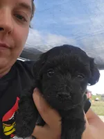 processed/8a723386-b491-4d37-a078-1ee5c164acc7/listing/f41db6ba-626d-4356-b4a8-40d505232bc0/9dc7f711-8932-4fdd-88ec-0d85e1fa7cdc