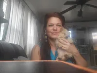 Snowball, a male Pomeranian for sale in Sterling, CO – Photo 5 of 5