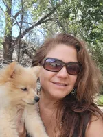 Snowball, a male Pomeranian for sale in Sterling, CO – Photo 4 of 5