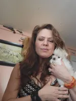 Snowball, a male Pomeranian for sale in Sterling, CO – Photo 3 of 5