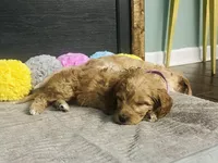 processed/8a7c310c-35ad-4450-b569-96b4dc2dbe8e/facility/0adca373-837e-4cd1-8d79-5d263c2b883b