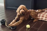 processed/8a7c310c-35ad-4450-b569-96b4dc2dbe8e/facility/3a4221cf-a04a-4ebc-9eed-e8f9abbc4f5d