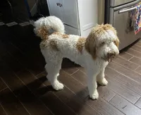 processed/8a7c310c-35ad-4450-b569-96b4dc2dbe8e/facility/6b68e9bb-de4f-4aac-956e-ca7dead0e163