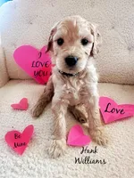 processed/8a7c310c-35ad-4450-b569-96b4dc2dbe8e/facility/c69e2f17-ef95-4a70-aed9-629f37511796