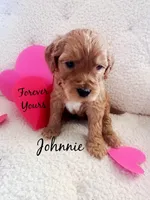 processed/8a7c310c-35ad-4450-b569-96b4dc2dbe8e/facility/ed44d11c-fc43-4f0c-8b04-c86b778b4470