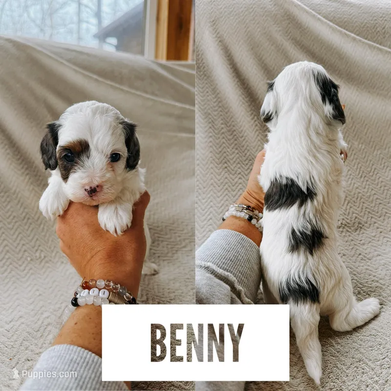 Benny
