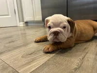 processed/8a8efeea-983c-428d-acda-6a51b6f770fb/listing/020e3609-23aa-4dfa-939d-af344da64c94/634fc7c0-b1c7-4ea0-9f05-fca673fc9e55