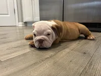 processed/8a8efeea-983c-428d-acda-6a51b6f770fb/listing/020e3609-23aa-4dfa-939d-af344da64c94/7f7a7284-dc6c-4e85-8419-0dc7453f9098