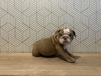 processed/8a8efeea-983c-428d-acda-6a51b6f770fb/listing/50491d1e-f199-4565-a6b8-7458430d3bea/464a736c-13bb-465c-adda-bf19342193ea