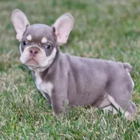 processed/8a90aff7-df5e-4772-b1ff-015898fdb3e3/facility/5479c587-3b63-4415-b912-8ad04b220404