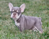 processed/8a90aff7-df5e-4772-b1ff-015898fdb3e3/facility/5479c587-3b63-4415-b912-8ad04b220404