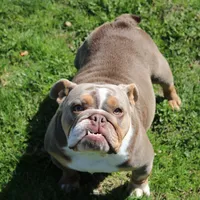 processed/8a90aff7-df5e-4772-b1ff-015898fdb3e3/facility/6e18441c-21ca-4299-b942-6d9744a2c841