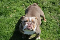 processed/8a90aff7-df5e-4772-b1ff-015898fdb3e3/facility/6e18441c-21ca-4299-b942-6d9744a2c841