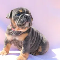 processed/8a90aff7-df5e-4772-b1ff-015898fdb3e3/facility/9187788f-0b8f-44be-882f-7e143ea99346