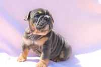 processed/8a90aff7-df5e-4772-b1ff-015898fdb3e3/facility/9187788f-0b8f-44be-882f-7e143ea99346