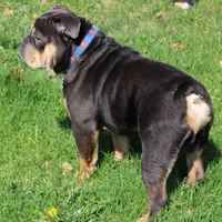 processed/8a90aff7-df5e-4772-b1ff-015898fdb3e3/facility/a6cfdacd-704d-4384-85a2-f809d4e0bc38