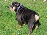 processed/8a90aff7-df5e-4772-b1ff-015898fdb3e3/facility/a6cfdacd-704d-4384-85a2-f809d4e0bc38