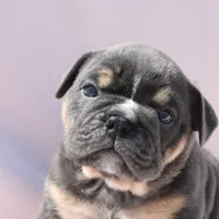 processed/8a90aff7-df5e-4772-b1ff-015898fdb3e3/facility/c8a801cc-e288-49c7-a70c-c1860be3424e