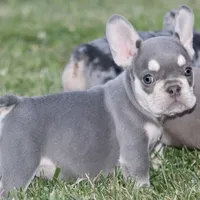 processed/8a90aff7-df5e-4772-b1ff-015898fdb3e3/facility/d95cf6a7-772c-4617-be5f-4936e28759e4