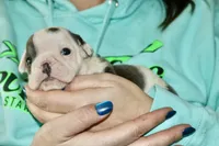 processed/8a90aff7-df5e-4772-b1ff-015898fdb3e3/listing/f13e8d1e-7ae2-4589-ab0e-b24328d5d9c2/62faeee7-1d03-4cb2-acff-829cdf0965e0