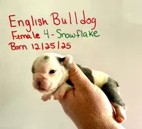 processed/8a90aff7-df5e-4772-b1ff-015898fdb3e3/listing/f13e8d1e-7ae2-4589-ab0e-b24328d5d9c2/fbe2f55a-64fa-46b7-906f-3601b8546b8e