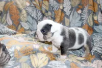 processed/8a90aff7-df5e-4772-b1ff-015898fdb3e3/listing/f9b079f5-fe01-4a9b-82ce-c3b33fdeb1b3/616037f4-4c30-4feb-b8f8-b81e74c98c70