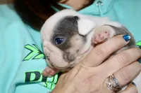 processed/8a90aff7-df5e-4772-b1ff-015898fdb3e3/listing/f9b079f5-fe01-4a9b-82ce-c3b33fdeb1b3/cb30d1ca-4ed2-4a0a-8868-041d23559b81