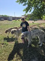 processed/8a96a793-bd2f-4e79-a3ff-d1996f71b452/facility/0180a595-830c-4341-865e-bc80322e50d8