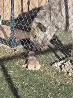 processed/8a96a793-bd2f-4e79-a3ff-d1996f71b452/facility/30d162aa-4e69-403f-a04a-3635970c9f76