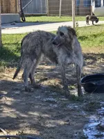 processed/8a96a793-bd2f-4e79-a3ff-d1996f71b452/facility/48ad13cf-d314-4b11-b436-b58be8f2856e