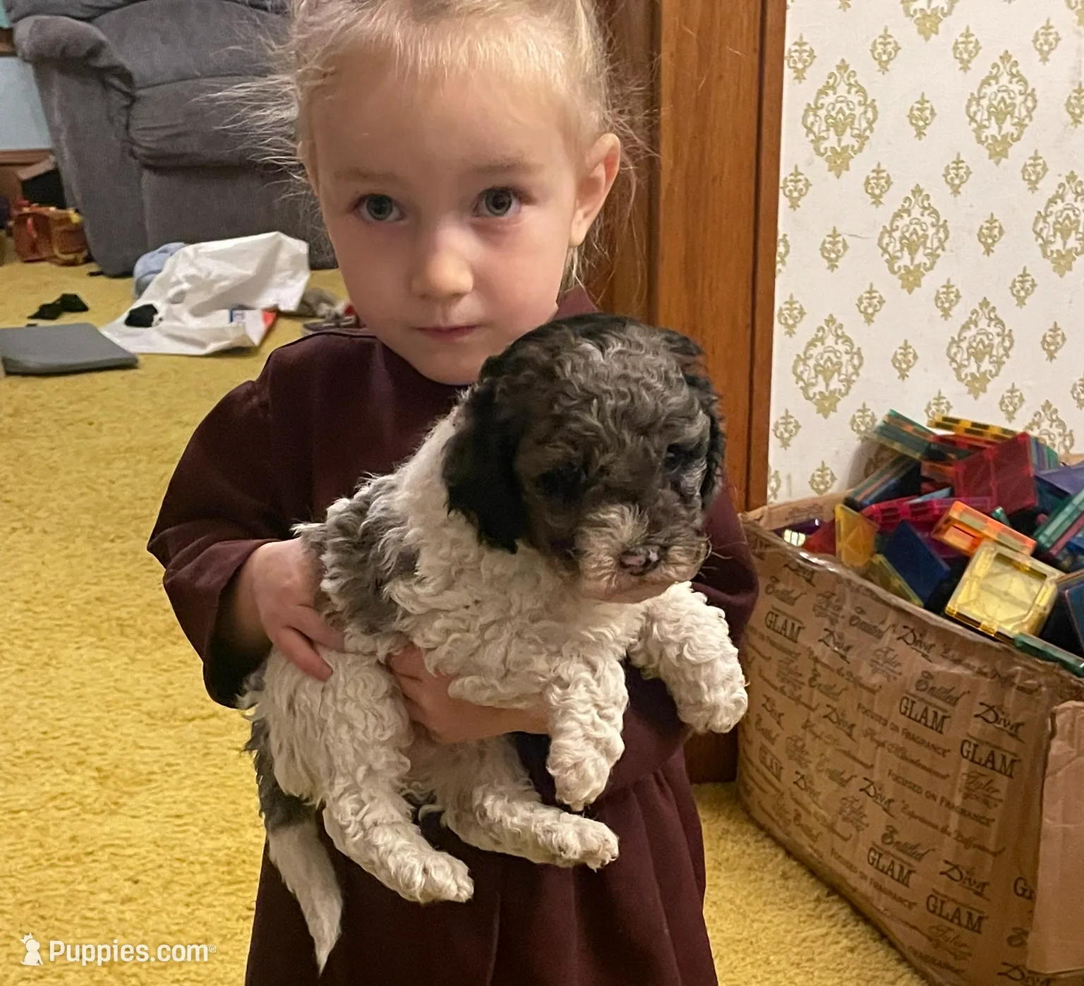 processed/8a9a5e0a-3074-4bed-899b-e63108f4ffa8/listing/e5bbb7dc-56ac-4a76-a4f4-65ff9bc56038/3c625bd1-0dae-4662-82f0-ef2c6d7e8663