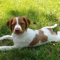 processed/8a9a5fa0-f707-448c-a856-e5c6c436c93f/facility/1c495041-4c8b-47f0-af5d-6b0119664f31