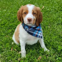 processed/8a9a5fa0-f707-448c-a856-e5c6c436c93f/facility/400a70b6-a63f-4a32-b478-64f1662e3db0