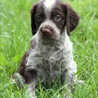 processed/8a9a5fa0-f707-448c-a856-e5c6c436c93f/facility/fe37213a-14f3-4250-9ada-0b3c40107528