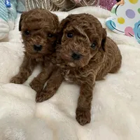 processed/8a9efacc-0015-4e9a-9427-ba5a57b448b0/facility/0cd5b4e5-d1e3-4d01-a3ee-26a09f525fca