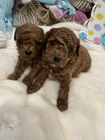 processed/8a9efacc-0015-4e9a-9427-ba5a57b448b0/facility/0cd5b4e5-d1e3-4d01-a3ee-26a09f525fca