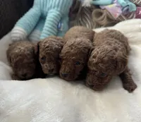 processed/8a9efacc-0015-4e9a-9427-ba5a57b448b0/facility/ebebd6c9-9417-4314-a6aa-dd92f93271c3