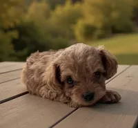 processed/8a9efacc-0015-4e9a-9427-ba5a57b448b0/listing/7925e83d-e086-4088-95bb-0def32fcc66b/79ecd740-e1cc-4185-b6f7-172762e41616