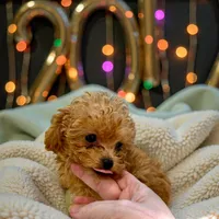 processed/8a9efacc-0015-4e9a-9427-ba5a57b448b0/listing/ea60677b-6f62-470e-ac81-94b675fe87a2/ec0becbd-92f5-48f8-abac-3e0a06f33245