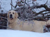 processed/8aa566f3-b910-4bd3-a2f9-0382a07f2dc8/listing/5cd801be-1291-47f1-89d0-9caa6625aed6/032d17de-3db6-47cc-bf9e-975e96faaa2a