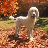 processed/8aa566f3-b910-4bd3-a2f9-0382a07f2dc8/listing/5cd801be-1291-47f1-89d0-9caa6625aed6/1ae31466-7b35-40a9-8e92-0de4e0894150