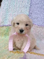 processed/8aa566f3-b910-4bd3-a2f9-0382a07f2dc8/listing/5cd801be-1291-47f1-89d0-9caa6625aed6/51a3901d-51d2-4c22-ad2a-b8b4b0126697