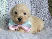 processed/8aa566f3-b910-4bd3-a2f9-0382a07f2dc8/listing/5cd801be-1291-47f1-89d0-9caa6625aed6/7c7054a5-11a2-475e-b819-24bc852b4658