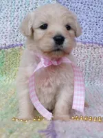 processed/8aa566f3-b910-4bd3-a2f9-0382a07f2dc8/listing/5cd801be-1291-47f1-89d0-9caa6625aed6/d1dccf82-3535-47be-b742-2f27c69204b5