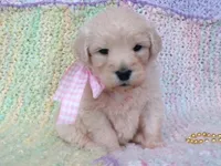 processed/8aa566f3-b910-4bd3-a2f9-0382a07f2dc8/listing/5cd801be-1291-47f1-89d0-9caa6625aed6/e8d0d43d-3efe-43fc-99d0-52f6f3701333