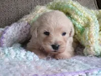 processed/8aa566f3-b910-4bd3-a2f9-0382a07f2dc8/listing/5cd801be-1291-47f1-89d0-9caa6625aed6/ff0b495b-c81b-40e8-9bd0-e2f1aff2b591