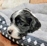 processed/8aa5fb6a-ba7d-4f73-a424-6ed14dd12872/listing/14342009-0c44-4678-a383-f41d75d10321/12908643-e6d8-4496-a3c2-28d4ac6ad24e