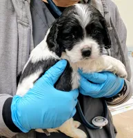 processed/8aa5fb6a-ba7d-4f73-a424-6ed14dd12872/listing/14342009-0c44-4678-a383-f41d75d10321/3734838c-0df1-48a0-9857-0b062f8d0127